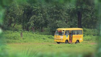 transport